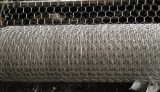 Wire Mesh Netting for Chicken and Rabbit Farming Uses