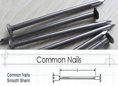 Common Roofing Nails