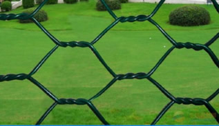 Twisted Hexagonal Wire Netting for Poultry Fencing