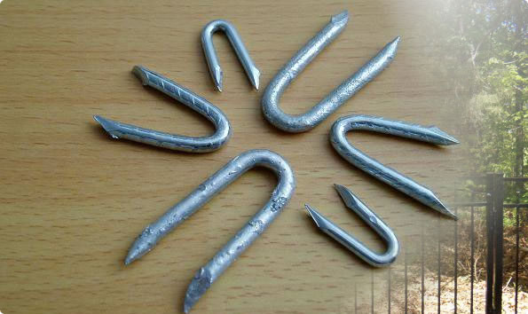 3/4" HEAVY DUTY GALVANISED U NAILS FENCING STAPLES POINTED CHICKEN WIRE POST 